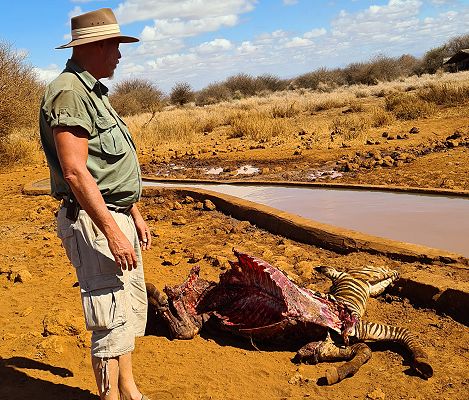 Amboseli Bush Camp - Kimana