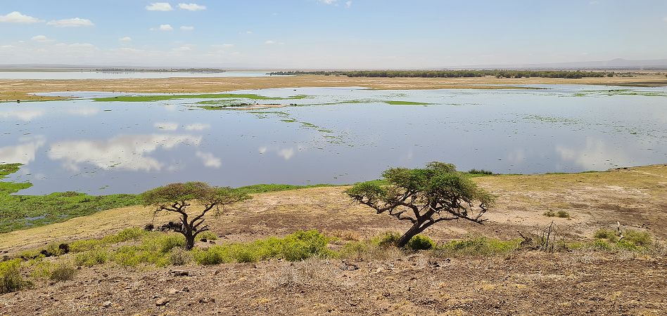 Lookout Hill Amboseli national Park