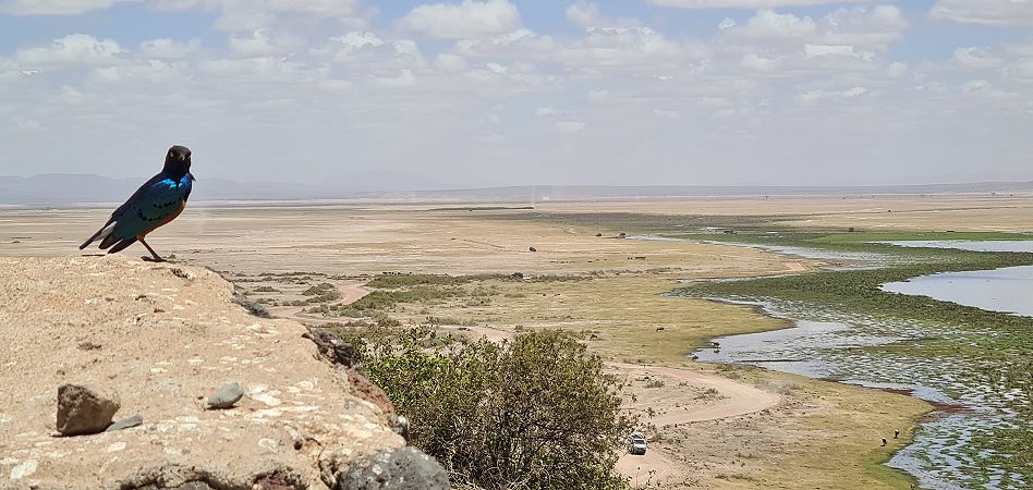 Lookout Hill Amboseli national Park