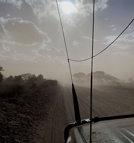 staubige Pirschfahrt im Amboseli
