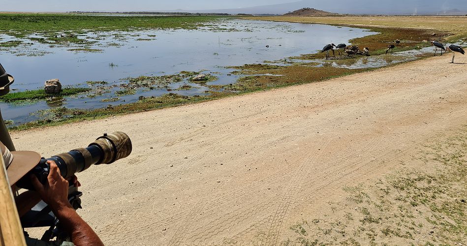 Jörg Reinecke im Amboseli National Park