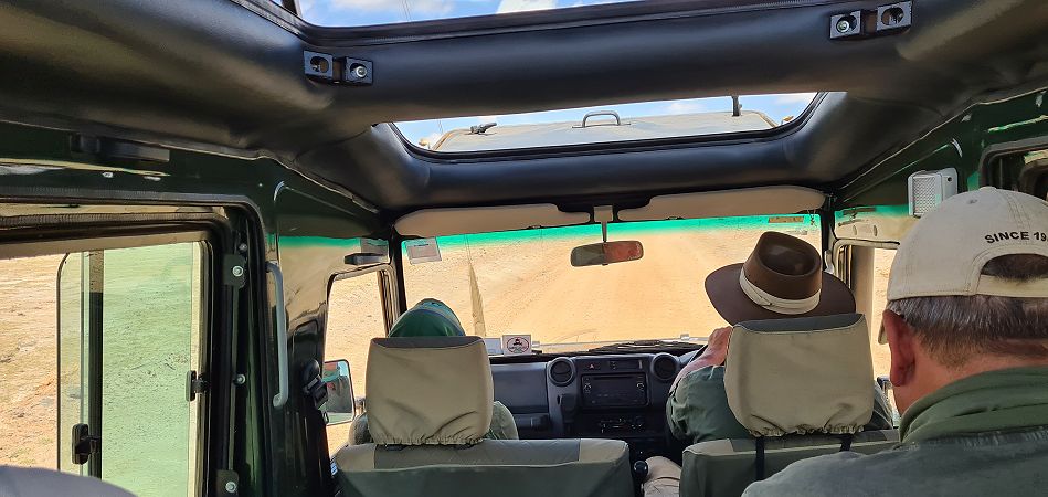 Auf Pirschfahrt im Amboseli