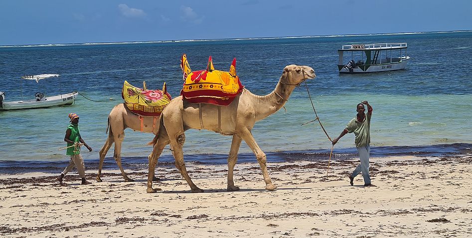 Bamburi Beach - Mombasa North Coast