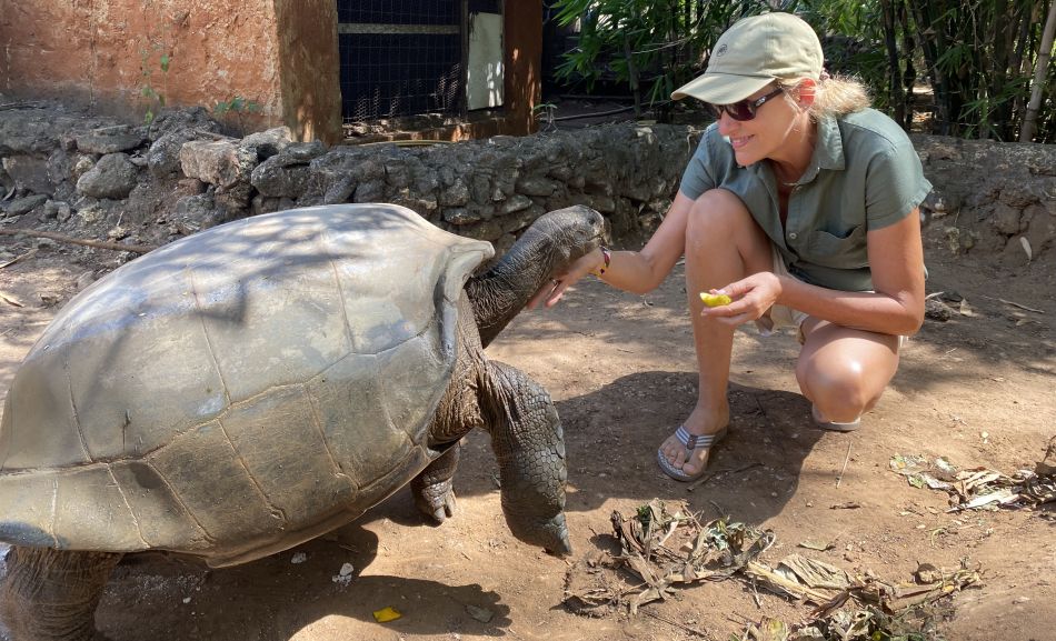 Aldabra Schildkörten im Garten des Boko Boko
