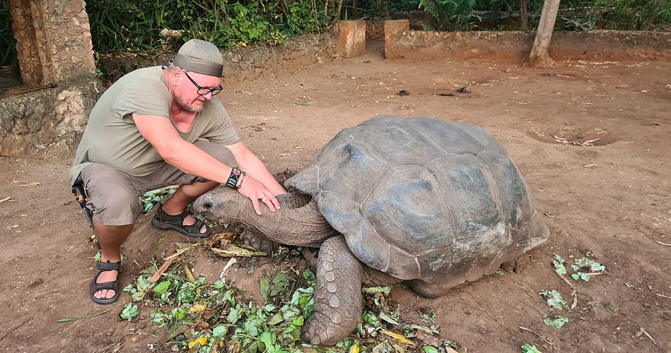 Aldabra Schildkörten im Garten des Boko Boko