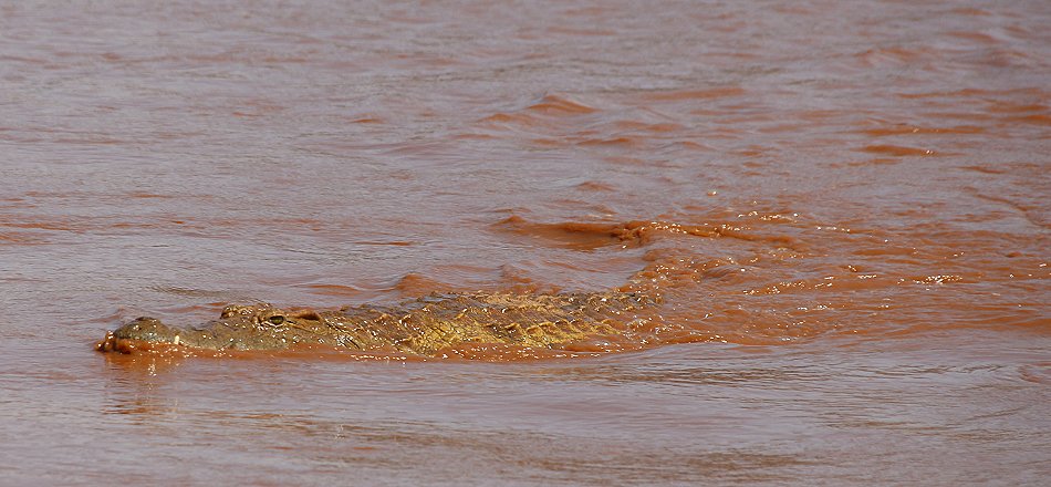 Galana Crocodile Camp - Tsavo Ost National Park