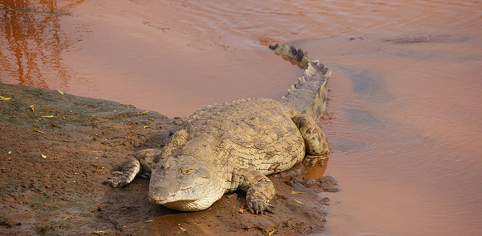 Galana Crocodile Camp - Tsavo Ost National Park