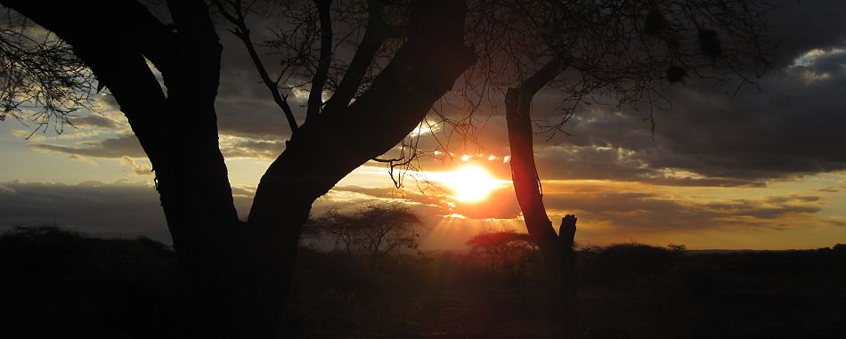 Kitani Bandas - Tsavo West National Park
