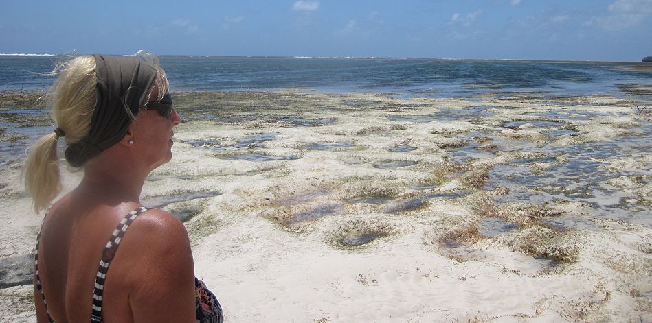 Kuruvitu Beach - Vipingo - Mombasa North Coast