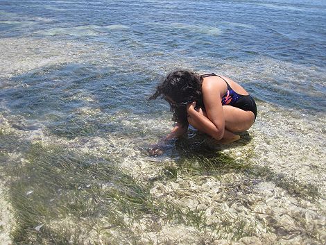 Kuruvitu Beach - Vipingo - Mombasa North Coast