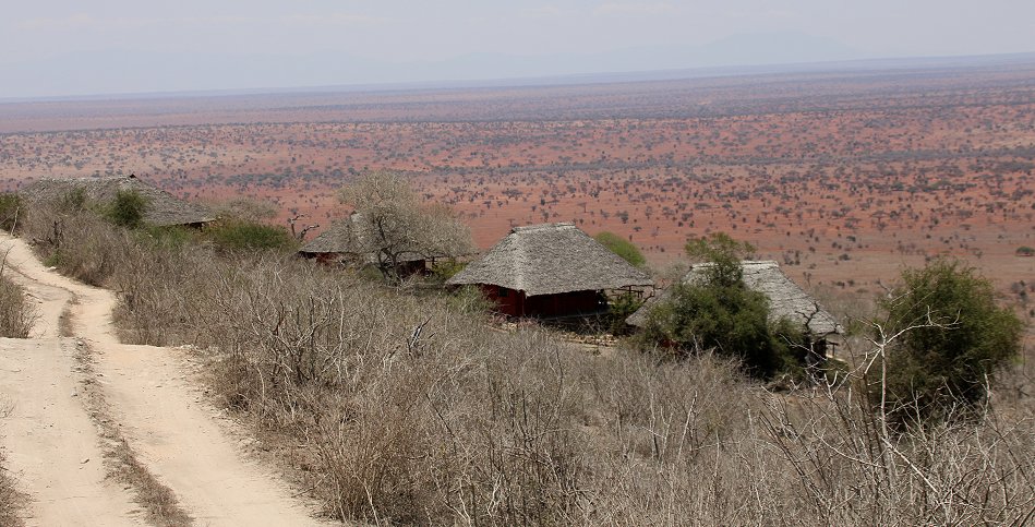 Leopards Lair Cottage