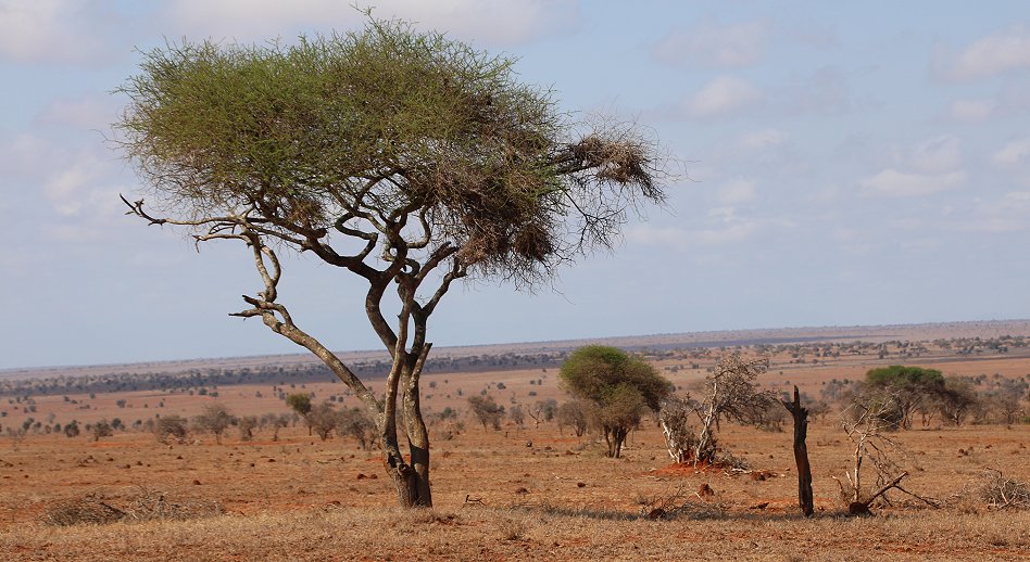 Lumo Conservancy