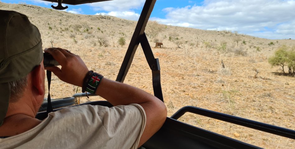 Elefantenkuh mit Kalb im Lumo Conservancy