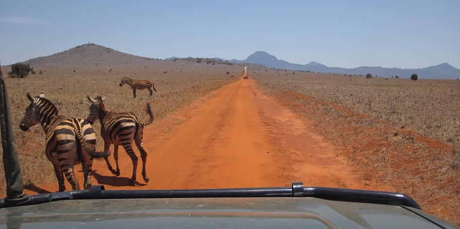 Lumo Conservancy and Taita Hill Reserve