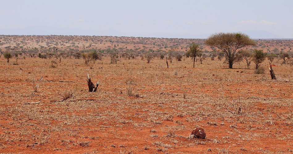 Lumo Conservancy and Taita Hill Reserve