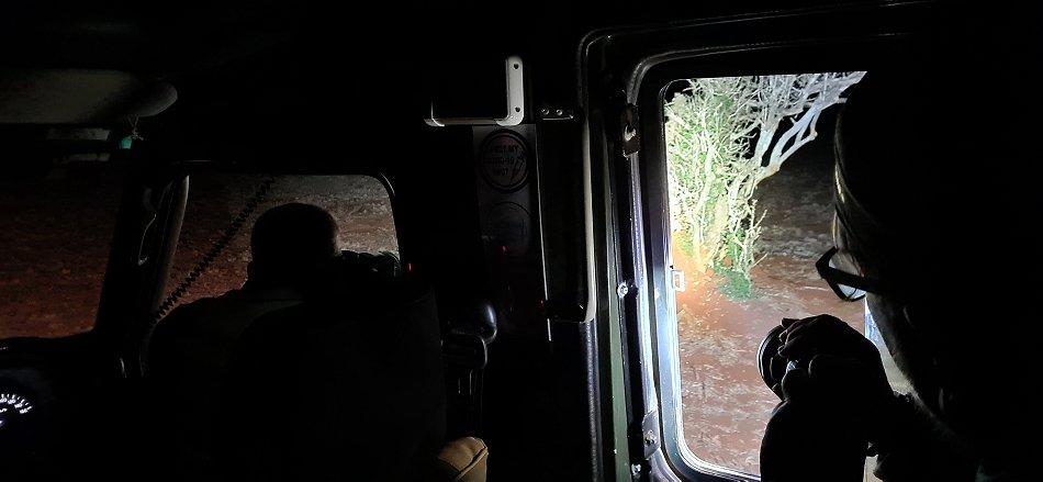 Night Game Drive