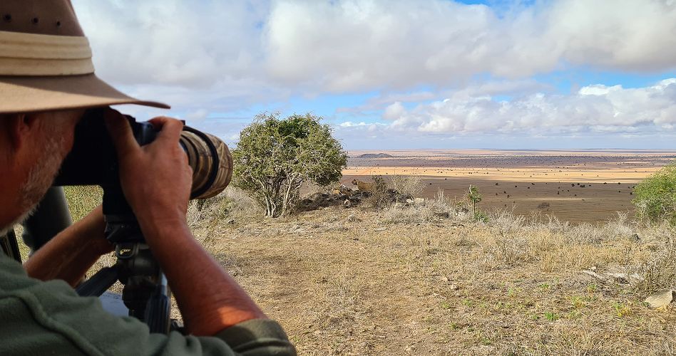 Löwenobservation im Lumo Conservancy