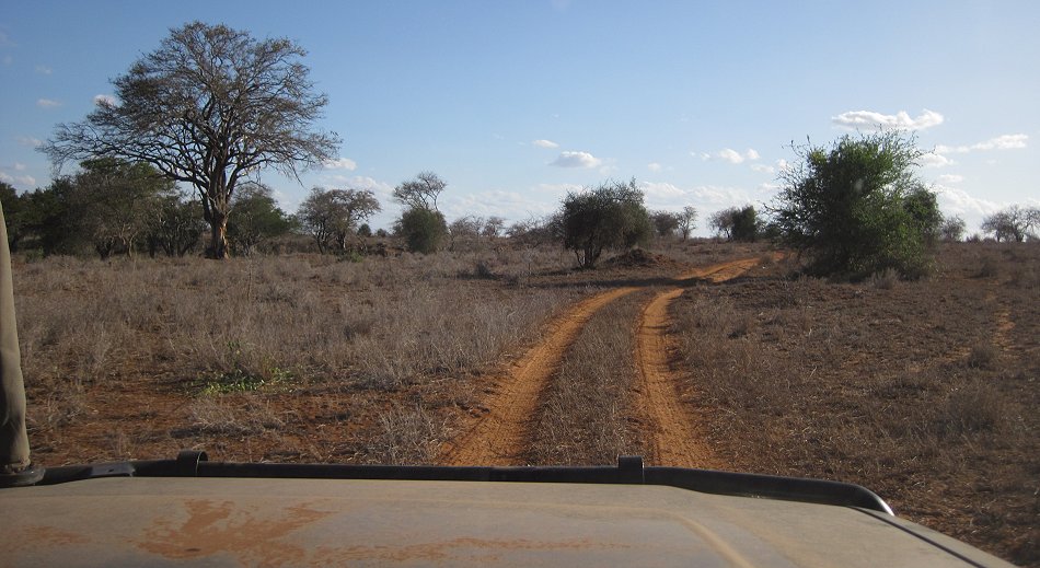 auf Pirschfahrt im Lumo Conservancy