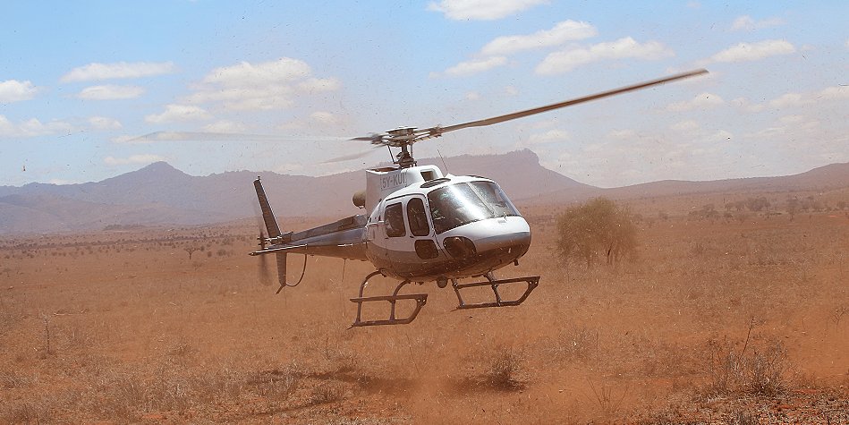 wir versuchen mit Unterstützung des Sheldrick Wildlife Trust eine verletzte Gepardin zu retten