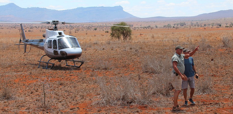 wir versuchen mit Unterstützung des Sheldrick Wildlife Trust eine verletzte Gepardin zu retten