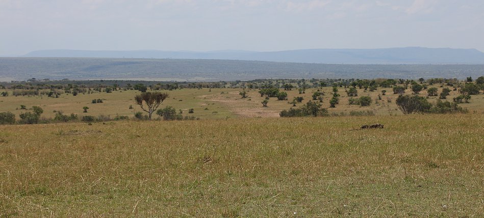 Masai Mara September 2022