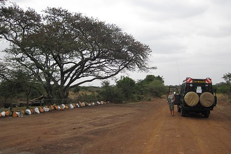 Kingfisher Picnic Side im Nairobi National Park