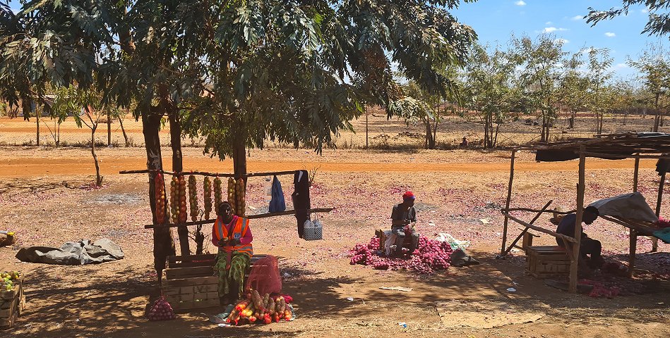 auf dem Weg zum Amboseli Bush Camp