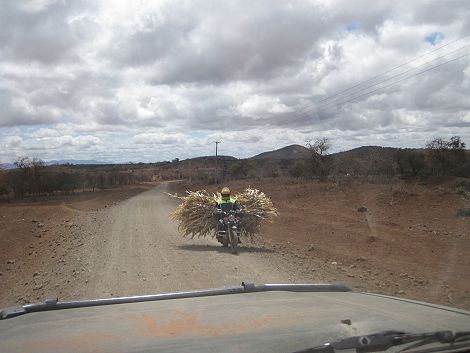 auf dem Weg zum Tsavo West National Park