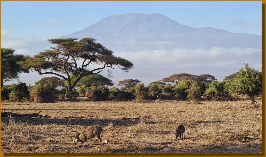 Mount Kilimanjaro