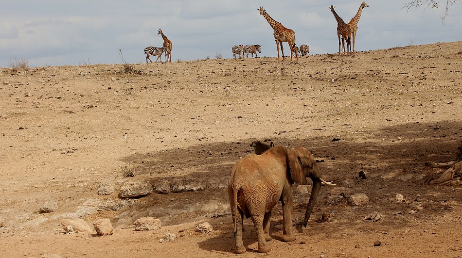 Tsavo Ost National Park