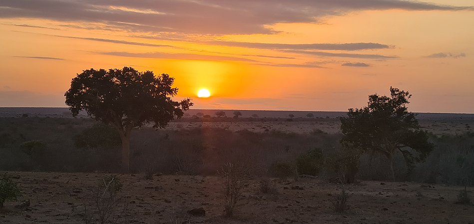 Auf Pirschfahrt im Tsavo Ost National Park