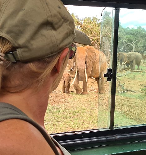 auf Pirschfahrt im Tsavo