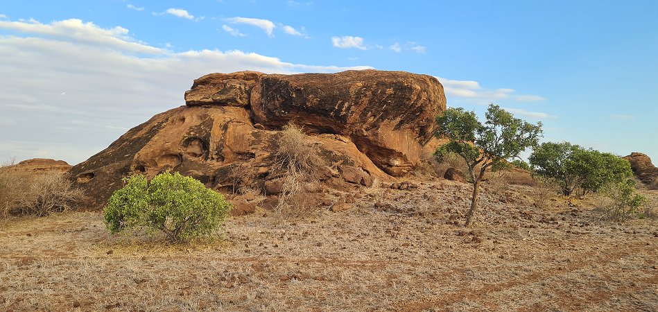 Auf Pirschfahrt im Tsavo Ost National Park