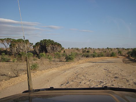 Auf Pirschfahrt im Tsavo Ost National Park