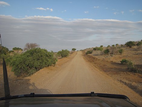 Auf Pirschfahrt im Tsavo Ost National Park