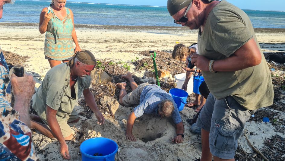 Jumba Beach - Turtle Hatching / Schlupf