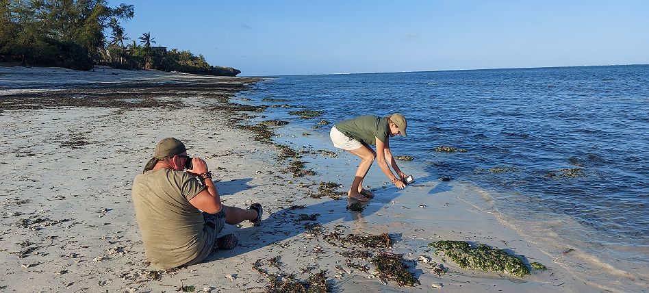 Jumba Beach - Turtle Hatching / Schlupf