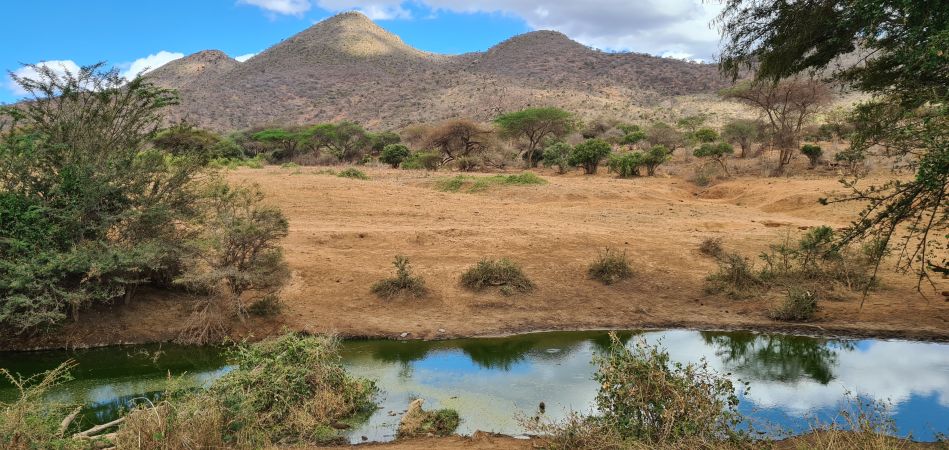 Tsavo West National Park