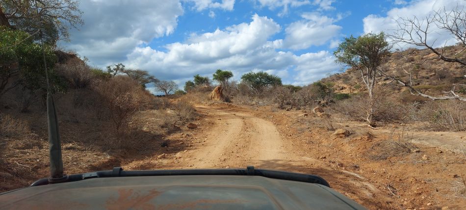 auf Safari im Tsavo West