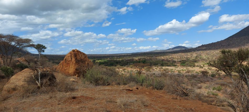 auf Safari im Tsavo West