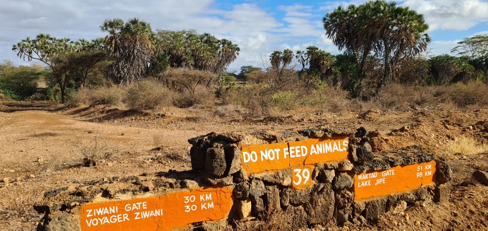 auf Safari im Tsavo West National Park