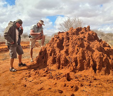Jörg Reinecke und Peter Labuch an einem Termitenhügel im Tsavo West