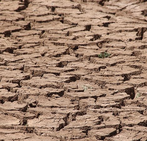 ausgetrocknete Wasserstelle im Tsavo West