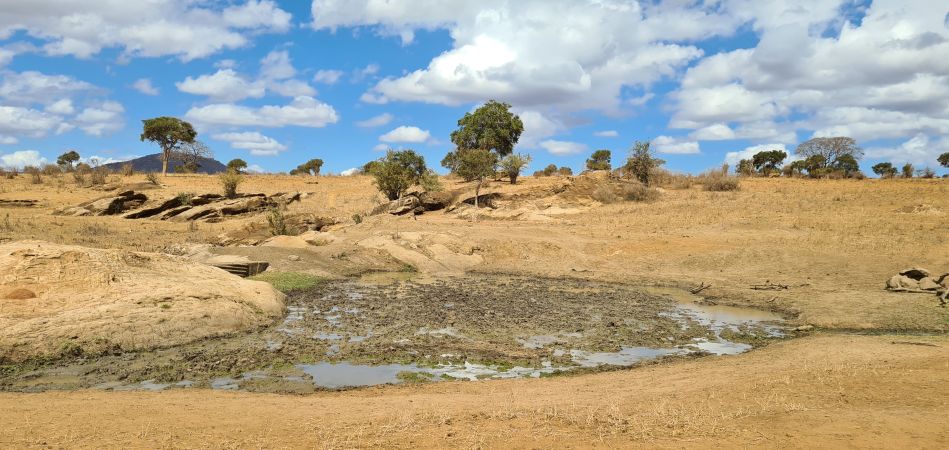 Wasserstelle im Tsavo West