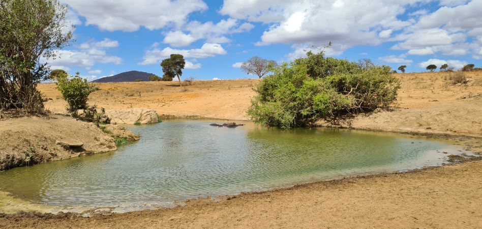 Wasserstelle im Tsavo West