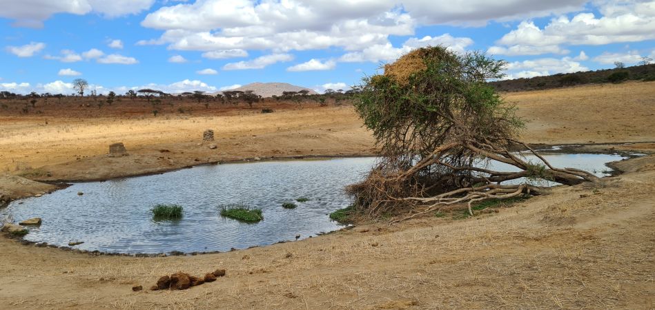 Wasserstelle im Tsavo West