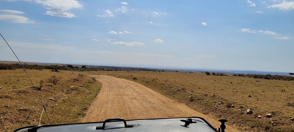 Pirschfahrt in der Masai Mara