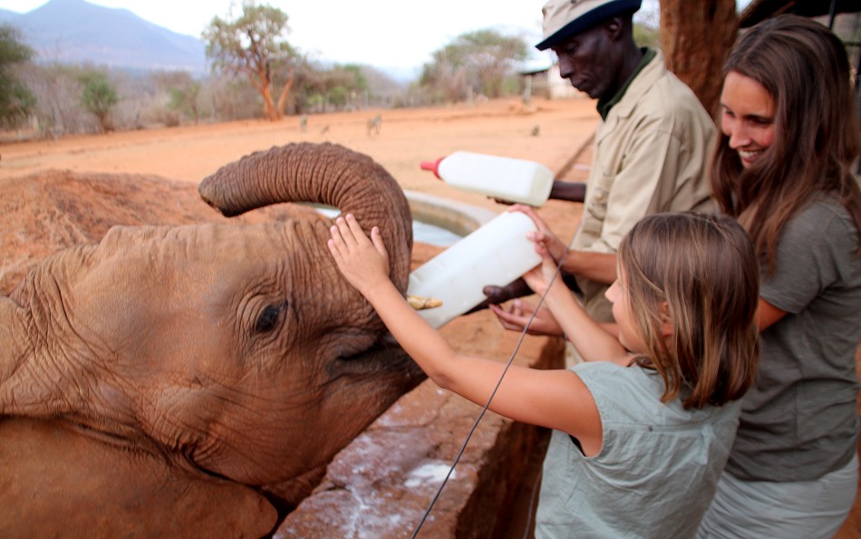 Sheldrick Wildlife Trust - Voi Auswilderungsstation Tsavo Ost National Park