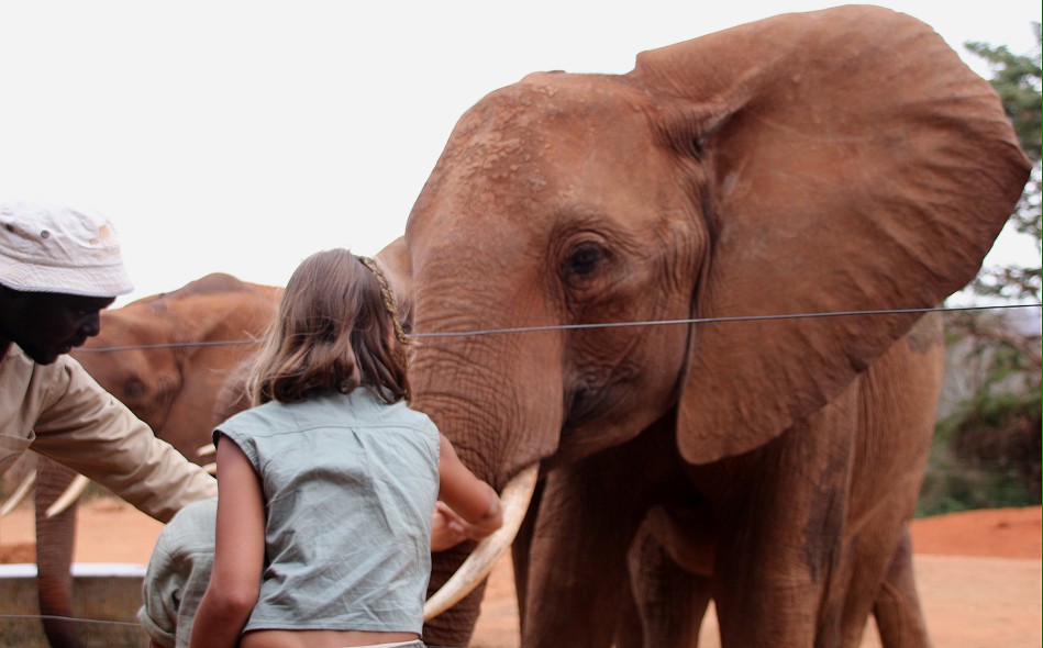Sheldrick Wildlife Trust - Voi Auswilderungsstation Tsavo Ost National Park