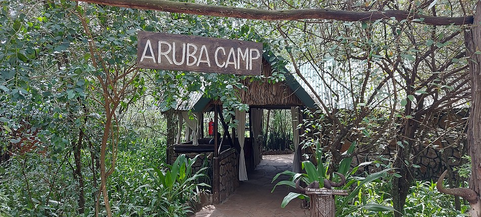 Aruba Mara Safari Camp - Talek, Masai Mara